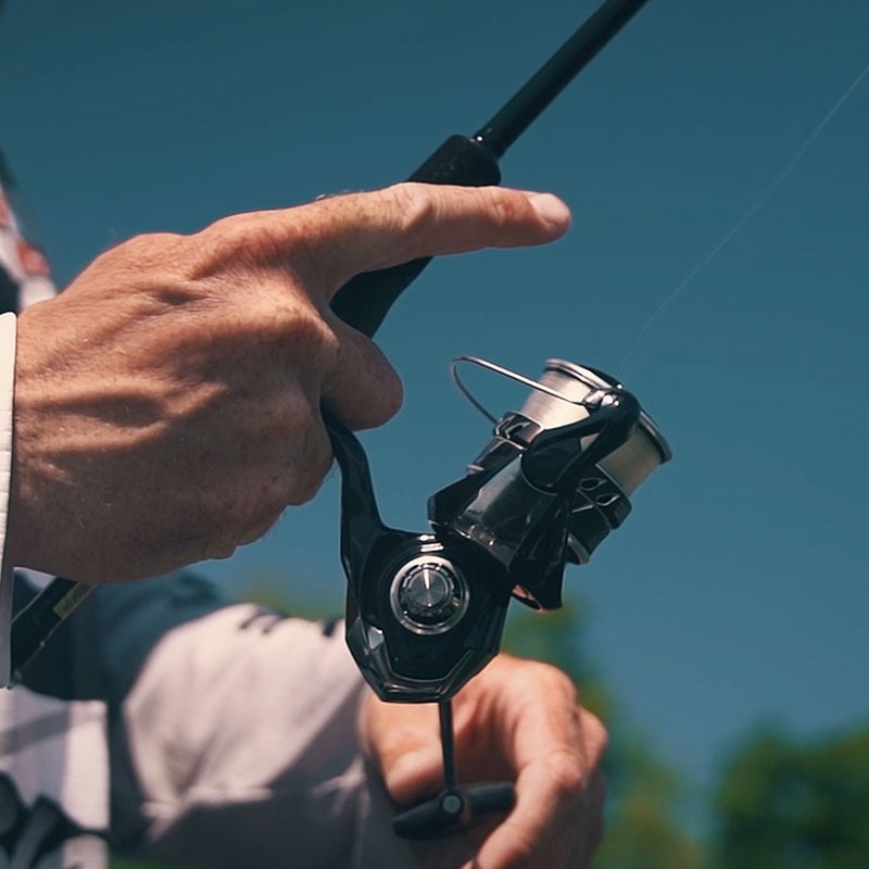 Máy câu cá DAIWA TATULA LT 202 - đánh giá và giá Daiwa Reel Bg
